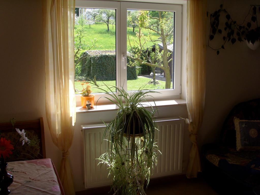 Ferienwohnung Adelheid Eggenbach Buitenkant foto